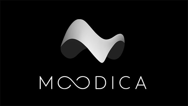 First logo reveal exploration
